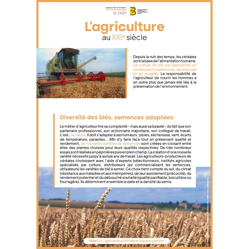 1_Fiche