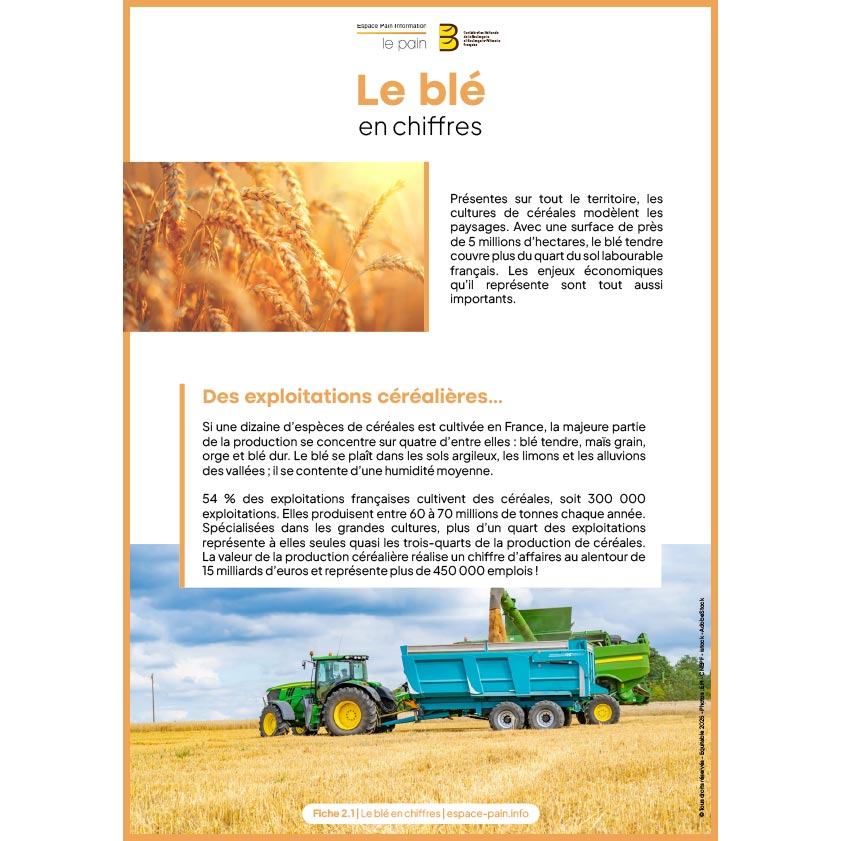 2_Fiche