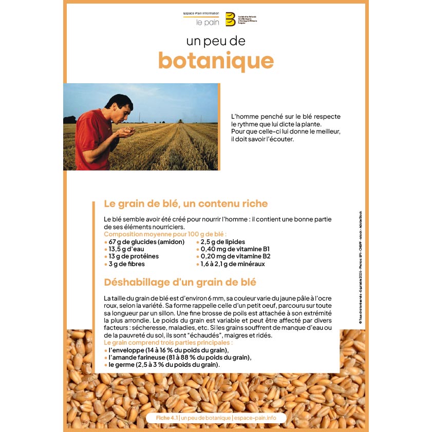4_Fiche