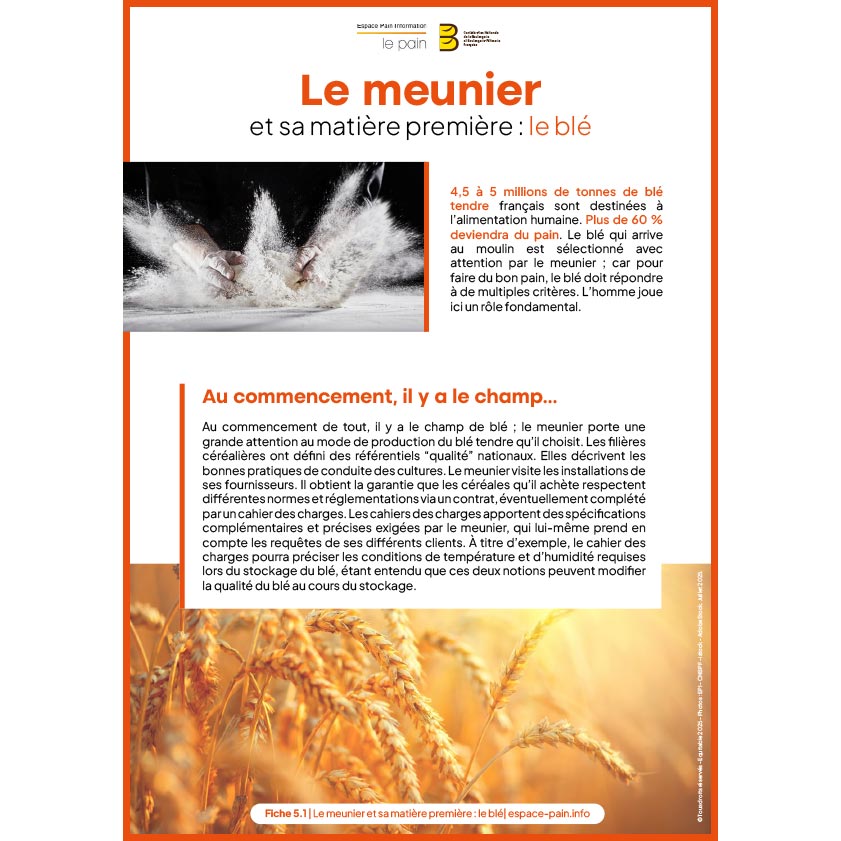 5_Fiche