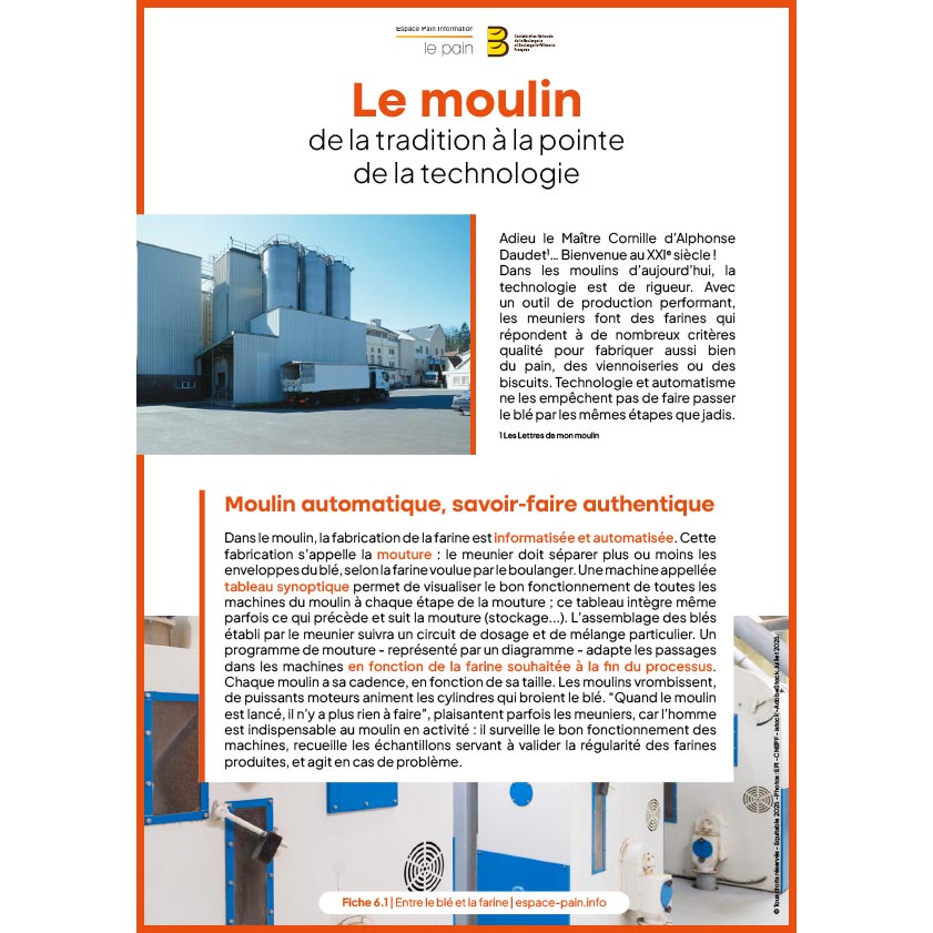 6_Fiche