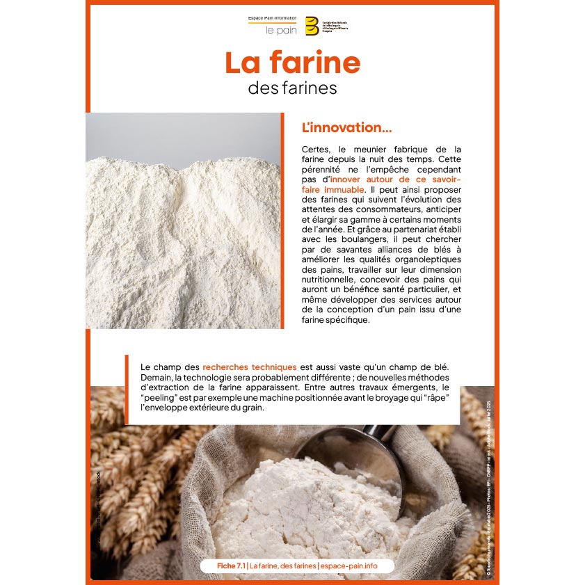 7_Fiche