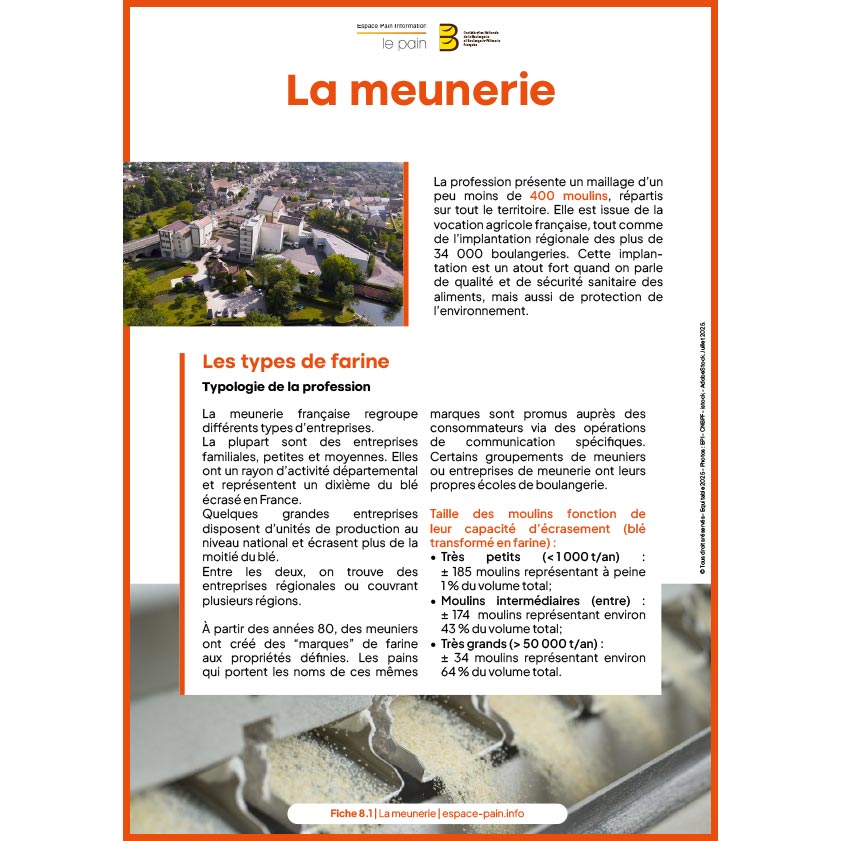 8_Fiche