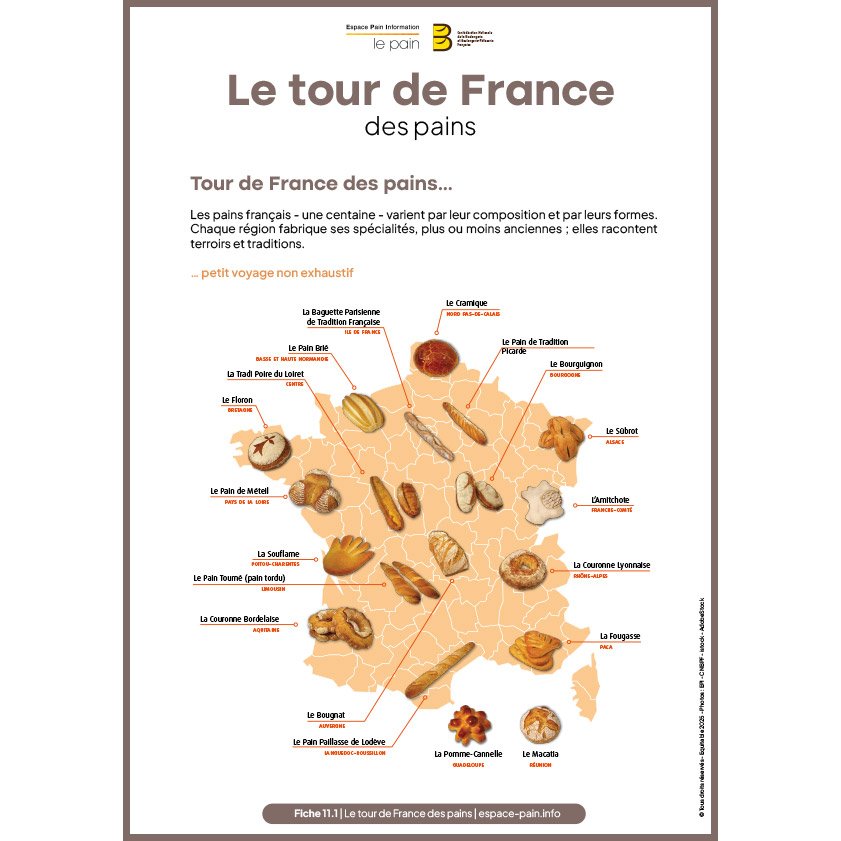 11_Fiche 11_Fiche